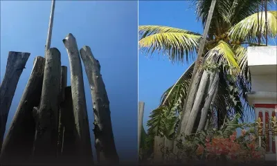 À Poudre-d’Or-Hamlet : Querelle de voisins pour quatre rondins de bois