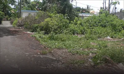 Curepipe: terrain en friche à Mootoo Lane