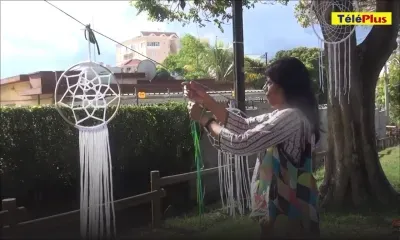 Vandermeersch : 270 arbres seront abattus sur le tracé du Metro Express