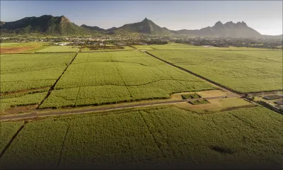 Conglomérats : la fusion de cinq compagnies ENL effective le 1er janvier 2019
