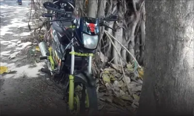 Vols de litchis dans le Nord : deux malfrats pris la main dans le sac