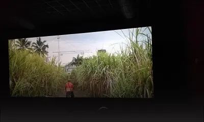 Festival Sinema : projections gratuites des films locaux