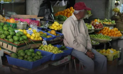 Port-Louis : les maraîchers veulent des mesures plus efficaces contre les vols