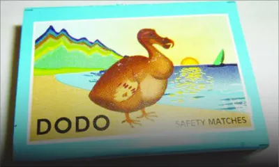 Importation - Boîtes d’allumettes : une baisse de plus de 50% depuis 5 ans