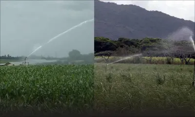 Irrigation dans le Nord: onze pivots en panne: la frustration des planteurs