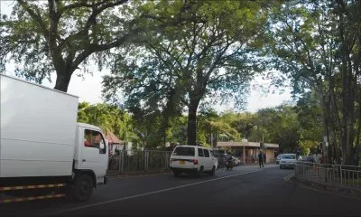 Hôpital de Pamplemousses: les gros arbres négligés inquiètent