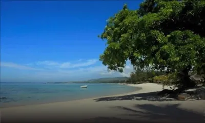 Residential Estate Scheme (RES) : la vente de deux villas au cœur d’un litige