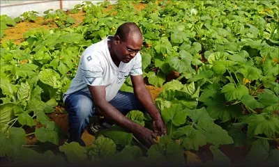 Rajey Seeneevassen : il abandonne son poste de Manager pour l’agriculture organique