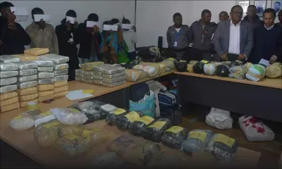 Trafic de Rs 519 M de drogue : les rôles des suspects Avoula et Plaiche étudiés