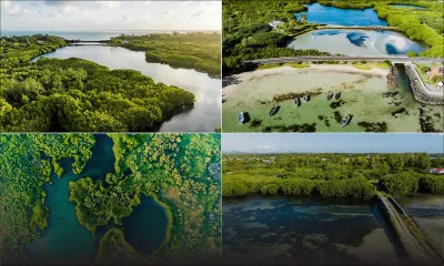Initiative citoyenne : un Parc naturel préservé pour Roches-Noires