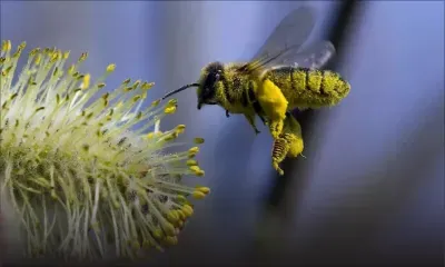 Sophrologie pour enfants: grandir de façon positive et harmonieuse