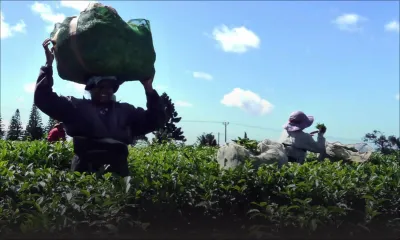 Consommation : le café, le thé et les soupes très prisés en cette période hivernale