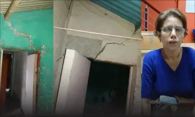 Appel à solidarité : aidez-la à abattre un arbre et à rénover sa maison