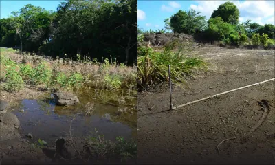 Terrains agricoles sous-loués ou abandonnés : le ministère de l’Agro-industrie passe à l’offensive