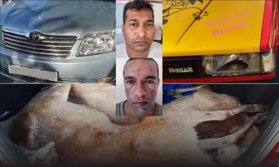 Coup de feu au Morne : des braconniers s’exhibent devant des randonneuses