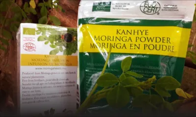 Production locale : le Moringa bientôt sur les marchés français et canadien