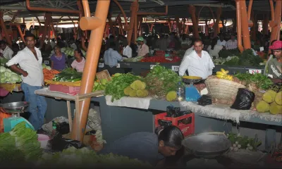 Agrobusiness : les défis de la révolution verte