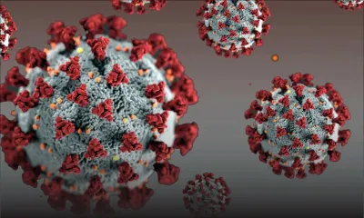 Comprendre les termes liés à la Covid-19