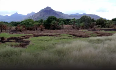 Pic énergétique: un record de 480 MW attendu pour la période mars-avril