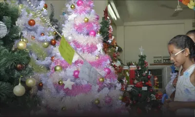 Festivités: les sapins artificiels gagnent du terrain