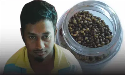 11283 semences de cannabis découvertes sous un matelas