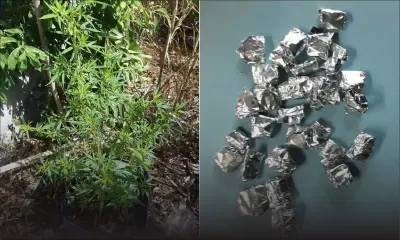 Deux arrestations dans le Nord : saisie de drogue d’une valeur de Rs 50 000