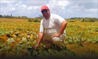 Récolte de pommes de terre : une journée avec un agriculteur