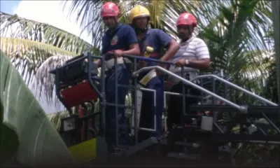 Roches-Brunes : quatre jeunes provoquent une interruption de la fourniture d’eau