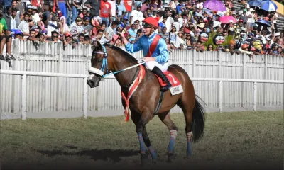 Maiden Cup  : la victoire en images d'Enaad qui réalise le doublé 29 ans après Lines of Power 