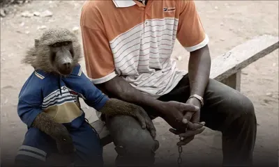 Pieter Hugo: photograph with a cause