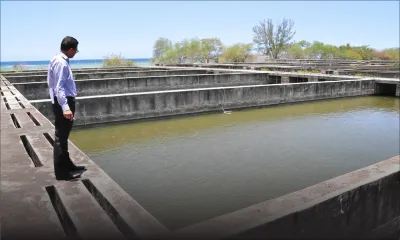 Aquaculture : pour une éclosion de l’économie bleue