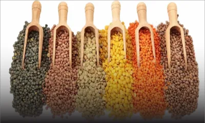 Consommation - Grains secs : le prix du sachet baisse de Rs 2 à Rs 5