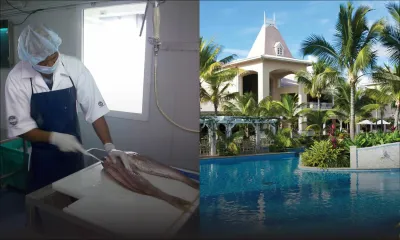 Récupération d’eau, propre forage, camions-citernes…ces alternatives qu’adoptent les entreprises face au manque d’eau 