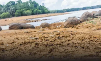 «Au Cœur de l’Info» : quelles solutions pour atténuer la crise de l’eau ?