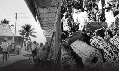 Exposition : Rodrigues prend place au Blue Penny Museum