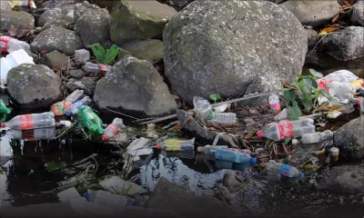 Un délai accordé aux opérateurs : vers la disparition des bouteilles en PET