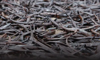 Coopération régionale : Madagascar, terre d’opportunités en attente