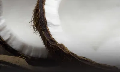 Santé et beauté: les mille et une facettes de la noix de coco