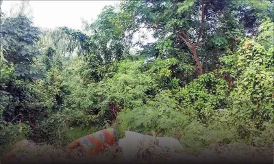 Santé : les défis de l’entretien des espaces ouverts