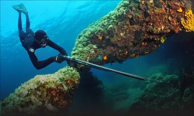 Activité illicite : le ministère de la Pêche traque les pêcheurs sous-marins