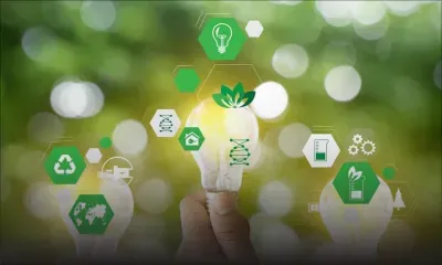 Secteur en déclin - Maurice : l’espoir vert s’amenuise 