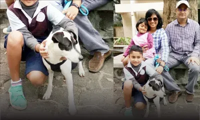 Coup de cœur : Bandit entouré de sa famille