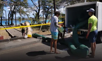 Forte mobilisation à Blue-Bay : la nappe d’hydrocarbure du Wakashio se rapproche du parc marin