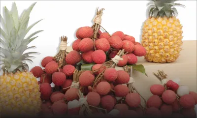 Production de fruits : davantage de letchis et moins d’ananas cette année