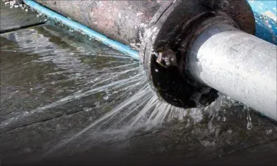 Pourquoi un expatrié de retour au pays a eu le «cœur brisé»