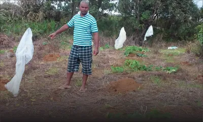 Résidence La Brasserie: pas de renouvèlement du bail si l’élevage continue