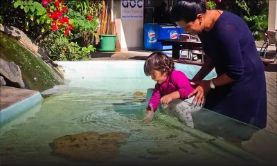 Tourisme vert - Aquarium de Maurice : une baisse de 70 % de visiteurs