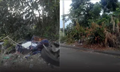 À Médine-Camp de Masque : une trentaine de terrains à bail en friche