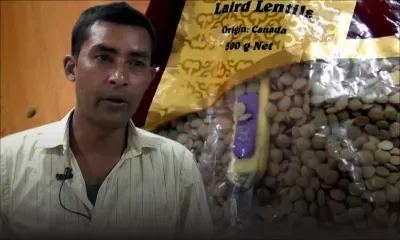 Un cutter dans un sachet de lentilles