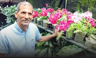 À Highlands : l’orchidélire de Jean-Luc Jafarally